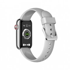 Серебряные умные часы Action Garett Electronics  цена и информация | Смарт-часы (smartwatch) | hansapost.ee