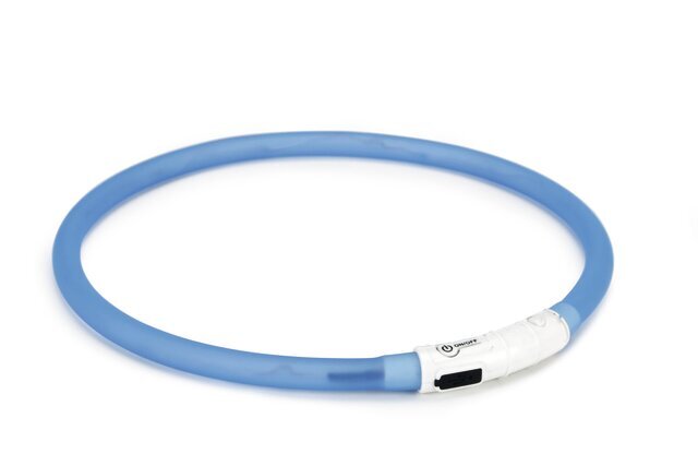Kaelarihm Beeztees Dogini LED+USB, sinine hind ja info | Koerte kaelarihmad ja traksid | hansapost.ee