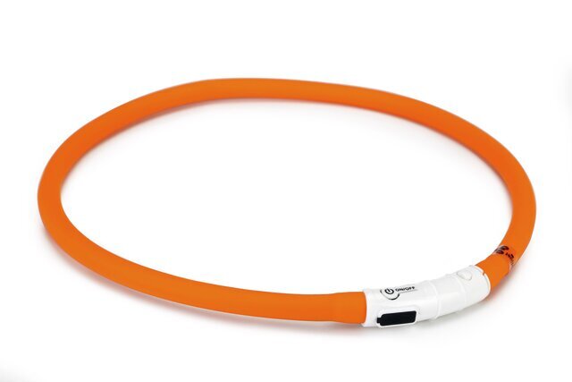 Kaelarihm Beeztees Dogini LED+USB, oranž hind ja info | Koerte kaelarihmad ja traksid | hansapost.ee