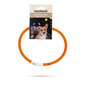 Kaelarihm Beeztees Dogini LED+USB, oranž цена и информация | Koerte kaelarihmad ja traksid | hansapost.ee