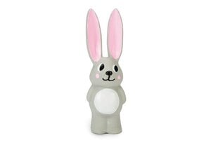 Kutsika mänguasi Puppy Latex rabbit Bula Beeztees 14cm, hall hind ja info | Koerte mänguasjad | hansapost.ee