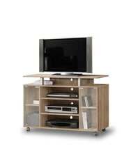 TV-laud Forte RTV Rack RAT338-D30, pruuni värvi hind ja info | Televiisori alused | hansapost.ee