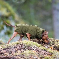 Kampsun Rukka Wooly XS, roheline цена и информация | Одежда для собак | hansapost.ee