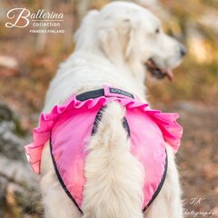 Koera jooksuajapüksid Finnero Ballerina XXS, roosa цена и информация | Одежда для собак | hansapost.ee