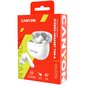 Canyon TWS-8 ENC White CNS-TWS8W цена и информация | Kõrvaklapid | hansapost.ee