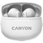 Canyon TWS-8 ENC White CNS-TWS8W цена и информация | Kõrvaklapid | hansapost.ee