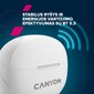 Canyon TWS-8 ENC Black CNS-TWS8B цена и информация | Kõrvaklapid | hansapost.ee