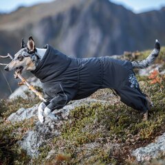 Koera talvekombinesoon Hurtta Extreme 25S, must hind ja info | Koerte riided | hansapost.ee
