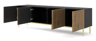 ТВ-столик Ravenna, коричневый/черный цена и информация | Тумбы под телевизор | hansapost.ee