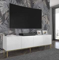 Тумба под телевизор Akl Furniture Ravenna, белая цена и информация | Тумбы под телевизор | hansapost.ee