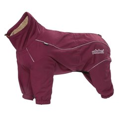 Koera talvekombinesoon Rukka Thermal 25cm, veinipunane цена и информация | Одежда для собак | hansapost.ee