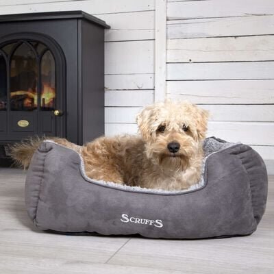 Koera pesa Scruffs Cosy Box Bed 50x40cm, hall цена и информация | Pesad, asemed | hansapost.ee