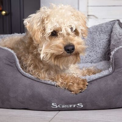 Koera pesa Scruffs Cosy Box Bed 50x40cm, hall цена и информация | Pesad, asemed | hansapost.ee