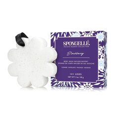 Parfümeeritud käsn Spongelle Boxed White Flower - Blackberry price and information | Shower gels, oils | hansapost.ee