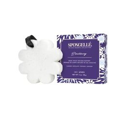 Парфюмированная губка Spongelle Boxed White Flower - Blackberry цена и информация | Масла, гели для душа | hansapost.ee