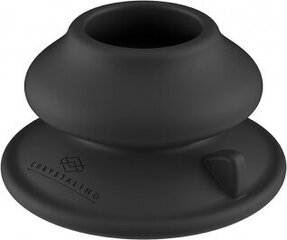 Klaasist vibraator Chrystalino hind ja info | Vibraatorid | hansapost.ee