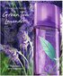 Elizabeth Arden Green Tea Lavender EDT naistele 100 ml цена и информация | Parfüümid naistele | hansapost.ee