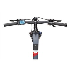 Elektrijalgratas Telefunken MTB E-Bike Aufsteiger M925, hall hind ja info | Elektrijalgrattad | hansapost.ee