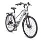 Elektrijalgratas Telefunken Trekking E-Bike Expedition XC940, valge цена и информация | Elektrijalgrattad | hansapost.ee