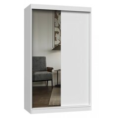 Современный шкаф с шипованными дверцами и зеркалом Iga, белый цвет цена и информация | Шкафы | hansapost.ee