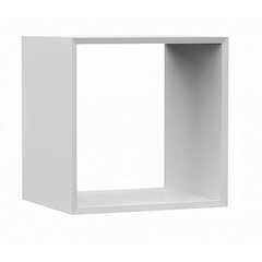 Функциональная вставка для стеллажей Malax, 30x35x35 см, белый матовый цена и информация | Полки | hansapost.ee