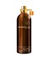 Montale Paris Wild Aoud EDP unisex 100 ml hind ja info | Parfüümid naistele | hansapost.ee