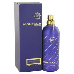 Парфюмированная вода Montale Paris Aoud Velvet EDP 100 мл цена и информация | Женские духи | hansapost.ee