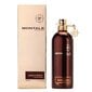 MONTALE Aoud Forest EDP unisex 100 ml price and information | Parfüümid naistele | hansapost.ee