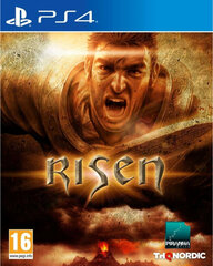 PlayStation 4 mäng Risen hind ja info | Konsooli- ja arvutimängud | hansapost.ee