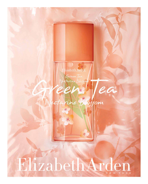 Elizabeth Arden Green Tea Nectarine Blossom EDT naistele 100 ml цена и информация | Parfüümid naistele | hansapost.ee