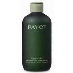 Juuksešampoon Payot Essentiel, 280 ml цена и информация | Шампуни | hansapost.ee