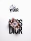 Parfüümvesi Dior Miss Dior EDP naistele, 100 ml цена и информация | Parfüümid naistele | hansapost.ee