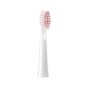 FairyWill Toothbrush Tips E11 hind ja info | Elektriliste hambaharjade otsikud | hansapost.ee
