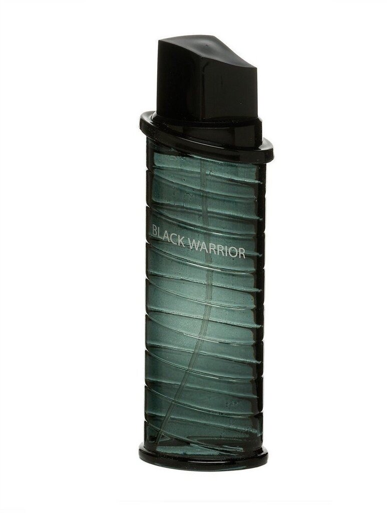 Tualettvesi Real Time Black Warrior EDT meestele 100 ml hind ja info | Parfüümid meestele | hansapost.ee