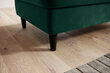 Tumba Bellis, 97x62x42 cm, samet, roheline цена и информация | Kott-toolid, tumbad, järid | hansapost.ee