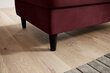 Tumba Bellis, 97x62x42 cm, punane hind ja info | Kott-toolid, tumbad, järid | hansapost.ee