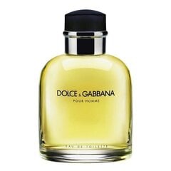 Dolce & Gabbana Pour Homme EDT meestele 125 ml hind ja info | Parfüümid meestele | hansapost.ee