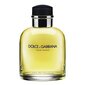 Dolce & Gabbana Pour Homme EDT meestele 125 ml цена и информация | Parfüümid meestele | hansapost.ee