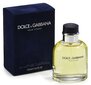 Dolce & Gabbana Pour Homme EDT meestele 125 ml цена и информация | Parfüümid meestele | hansapost.ee