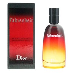 Туалетная вода Dior Fahrenheit EDT мужская 50 мл цена и информация | Духи для Него | hansapost.ee