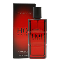 Davidoff Hot Water EDT meestele 60 ml hind ja info | Parfüümid meestele | hansapost.ee