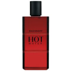 Davidoff Hot Water EDT meestele 60 ml hind ja info | Parfüümid meestele | hansapost.ee