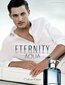 Calvin Klein Eternity Aqua EDT meestele 100 ml hind ja info | Parfüümid meestele | hansapost.ee