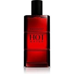 Davidoff Hot Water EDT meestele 110 ml price and information | Parfüümid meestele | hansapost.ee