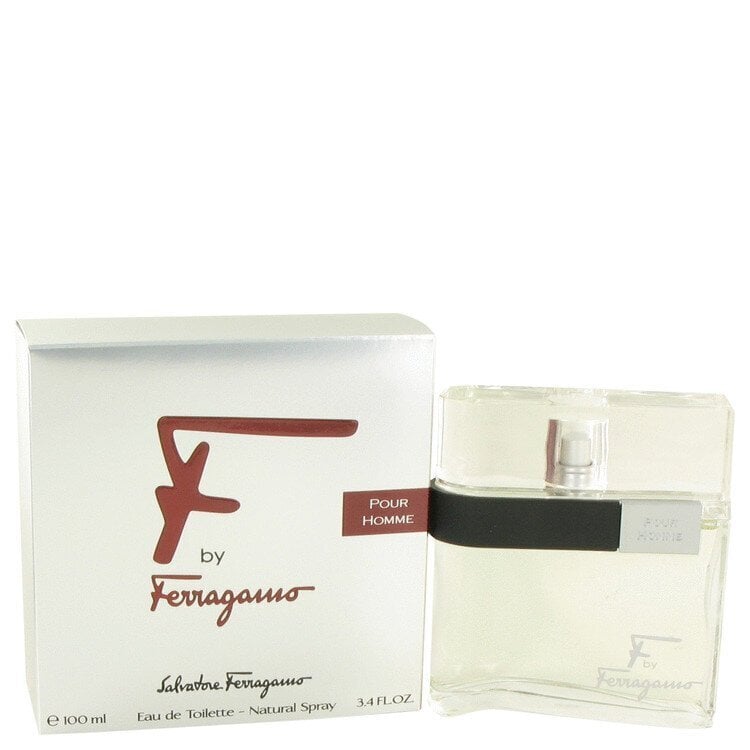 Salvatore Ferragamo F EDT meestele 100 ml hind ja info | Parfüümid meestele | hansapost.ee