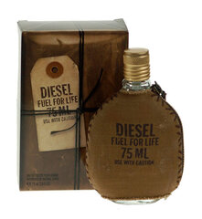 Tualettvesi Diesel Fuel For Life EDT meestele 75 ml цена и информация | Мужские духи | hansapost.ee