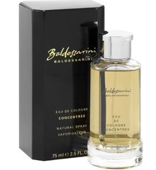 Женская парфюмерия Baldessarini Baldessarini (75 ml) цена и информация | Духи для Него | hansapost.ee
