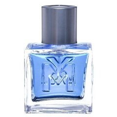 Mexx Man EDT meestele 30 ml price and information | Parfüümid meestele | hansapost.ee