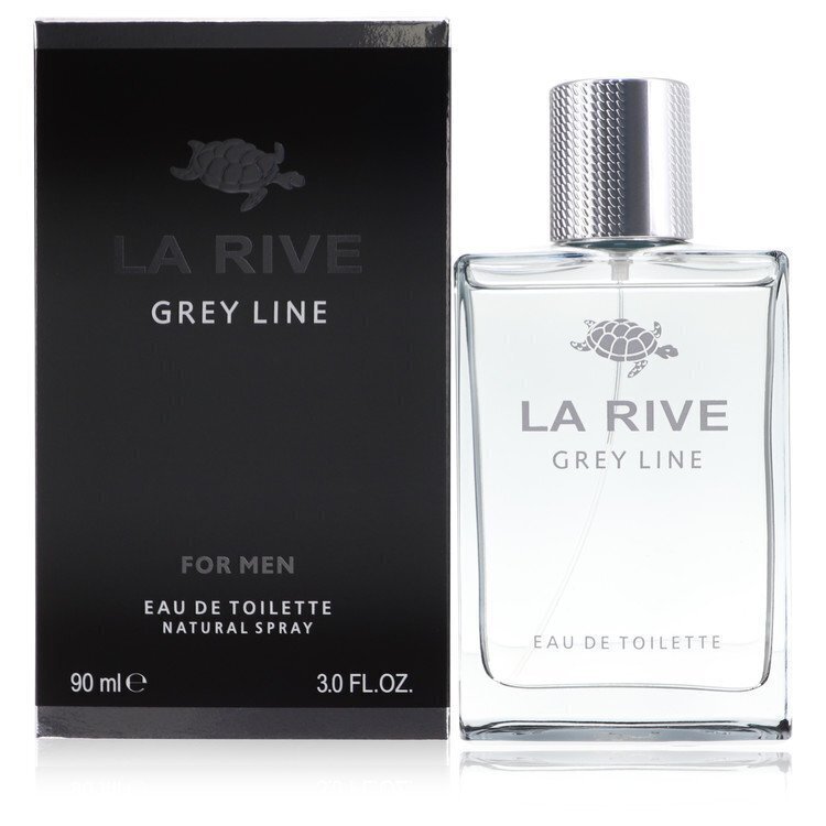 La Rive Grey Line For Man EDT meestele 90 ml цена и информация | Parfüümid meestele | hansapost.ee