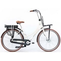 Электровелосипед Telefunken RT540, белый цвет цена и информация | Электровелосипеды | hansapost.ee